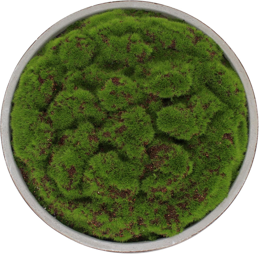 Hand Painted Cement Moss Bowl | 12 Inch | Artificial Moss Centerpiece | Decorative Coffee Table Bowl